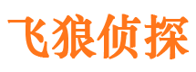 枝江市婚外情调查